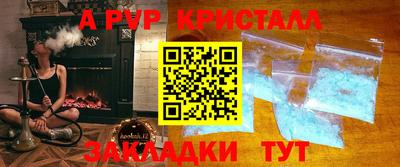 гашик Донской