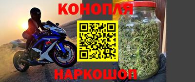 гашик Донской