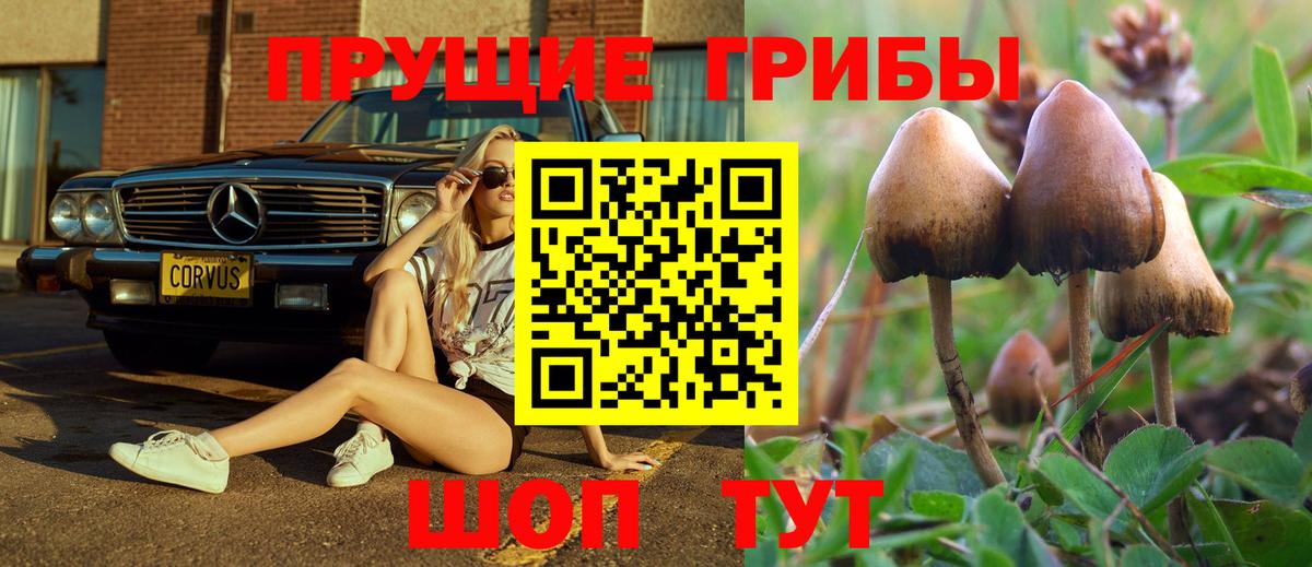 Псилоцибиновые грибы Cubensis  Псилоцибиновые грибы мухоморы  Мурманск  Вход с VPN 