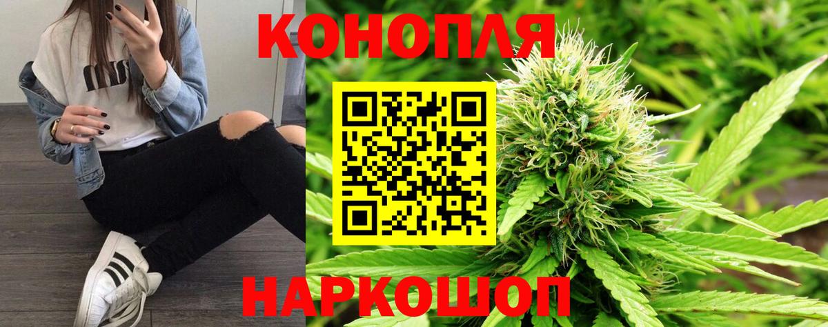 Бошки марихуана OG Kush Мурманск